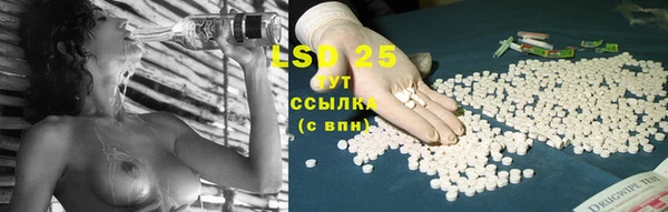 гидропоника Абаза