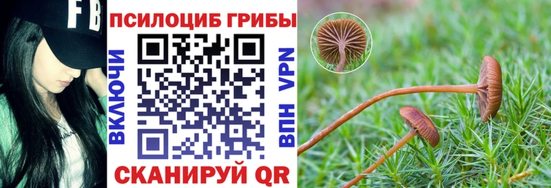 что такое наркотик  Богородск  Псилоцибиновые грибы Psilocybe 